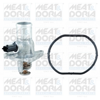 Thermostat, coolant